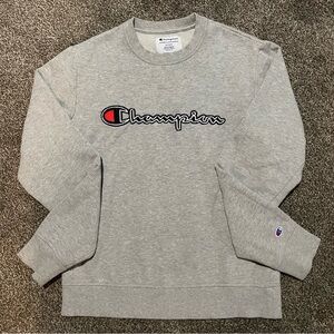 Champion Men's Crewneck Sweater in Gray
